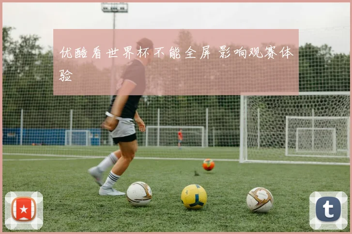 优酷看世界杯不能全屏 影响观赛体验
