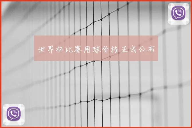 世界杯比赛用球价格正式公布