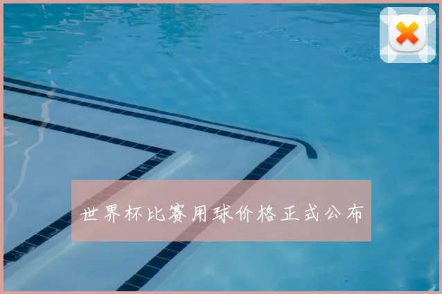世界杯比赛用球价格正式公布