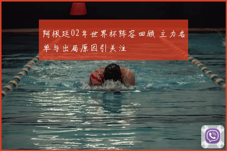 阿根廷02年世界杯阵容回顾 主力名单与出局原因引关注