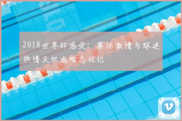 2018世界杯感受:赛场激情与球迷热情交织成难忘记忆