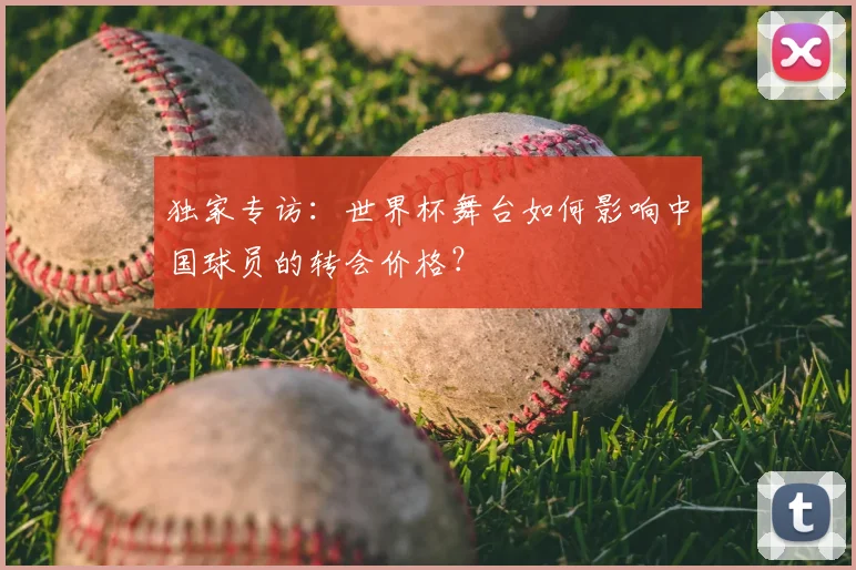 独家专访:世界杯舞台如何影响中国球员的转会价格?