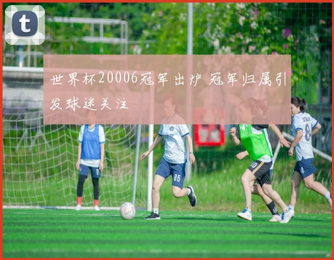 世界杯20006冠军出炉 冠军归属引发球迷关注